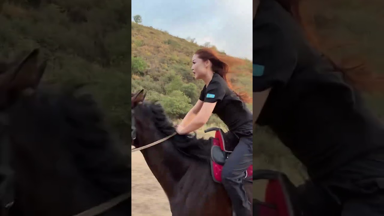 #horse #arabianhorses #littlehorses #horses #automobile #equestrian #horseranch #horseriding