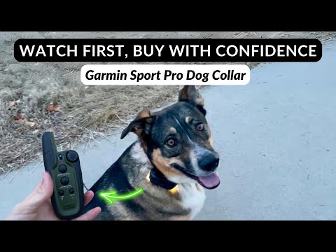 The Garmin Sport Pro E-Collar Has SO Many Features! These are my favorite for a stress-free walk.