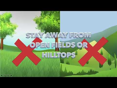 PHY023 Project "Why do lightning struck trees?"