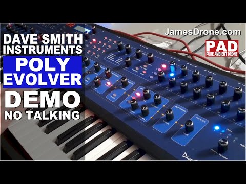 Dave Smith Instruments Poly Evolver Sound Demo (No Talking)