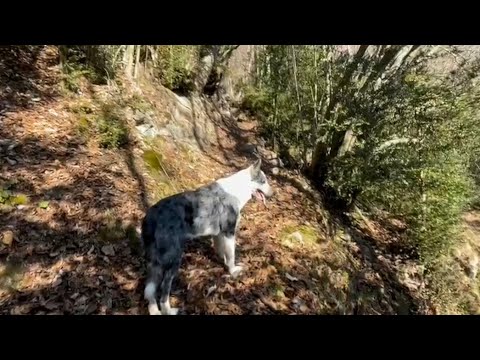 Covid and my isolation part 6* the Partisan Cave Maira Valley
