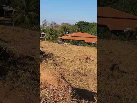 Belas paisagens pelo caminho.