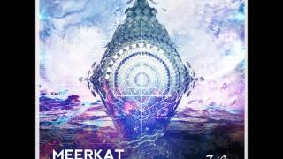 Meerkat - The Mirror Effect