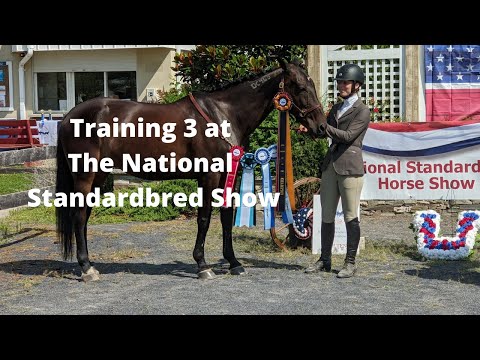 2019 Training 3 at the National Standardbred Show