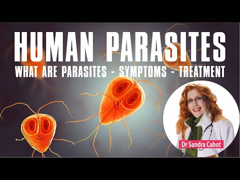 Kill Parasites in Humans | Symptoms | Treatment #parasites #giardia #leishmania