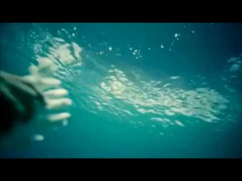 ALEKSEEV-Дельфины