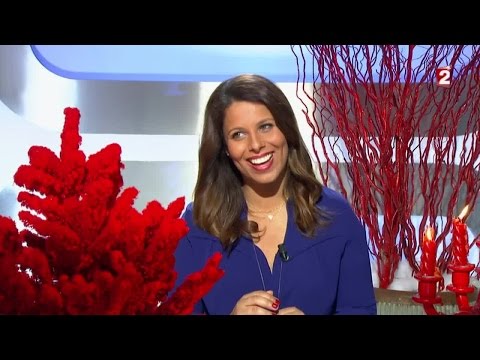 Motus du 23/12/15 - Intégrale