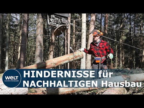 HOLZPREISE EXPLODIEREN: Immer mehr Bauunternehmen fordern Exportstopp von Rohstoffen I WELT News