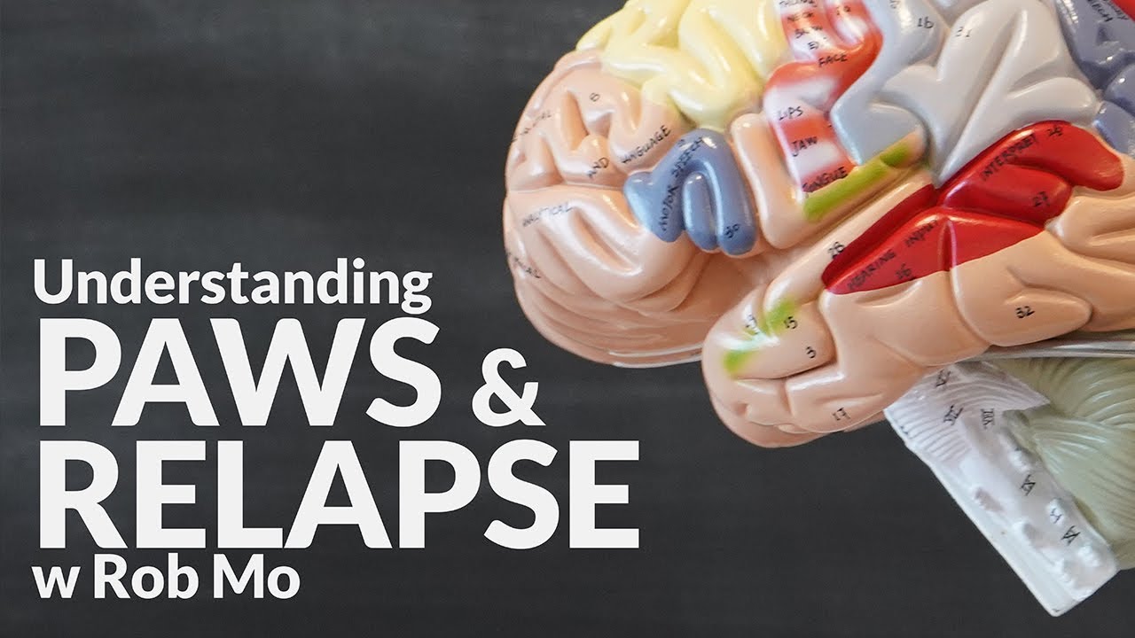 Understanding PAWS and relapse