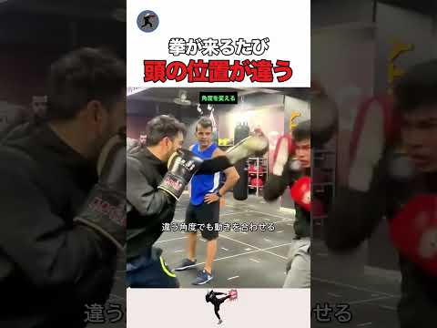 拳が来るたび 頭の位置が違う