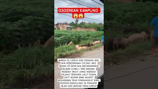 Download lagu #viralkan H3BOHKAN W4RG4 D3NG4N  ADA NYA B4B1 NG3P3T❗#viral #shorts #funny mp3