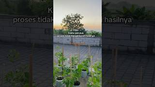 Download lagu Painting of the universe in the home garden #gardening #gardeningathome #organicgarden mp3