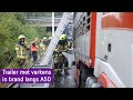 Trailer met varkens in brand langs A50