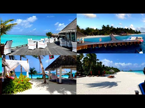 Some enjoyable moments || The paradise of nature...