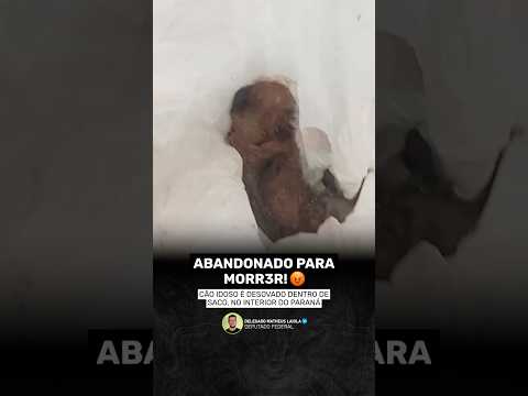 Um cão idoso foi abandonado dentro de um saco, em Boa Vista da Aparecida, no Paraná.