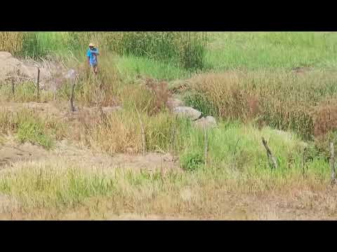 MK NEWS, recordando matéria barragem das traíras seridó rio grande do norte. 