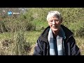 Koninklijke Onderscheiding voor Hoofddorpse 'meester Nol'