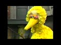 Sesame Street Big Bird Imagines An Opera