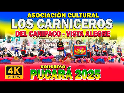 LOS CARNICEROS - VISTA ALEGRE - CANIPACO /  Huaylarsh Pucara 2025 / Antiguo /4K