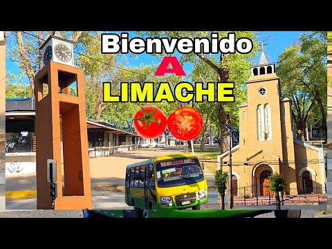 Limache - From Chile - 🇨🇱🍅 V Región de Valparaíso - 2025 #limache 