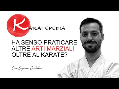 Ha senso praticare altre arti marziali oltre al karate?