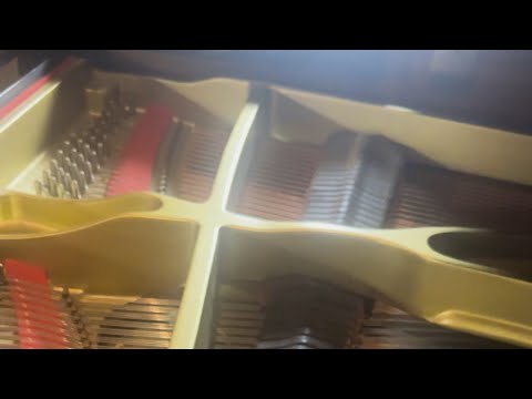 Roberto Cacciapaglia - Sky Door (Visualiser)