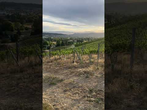 Southland Drone Services video