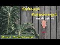 வாழ்க வாழ்க சீர் இயேசு மகாராஜா Vazhga Vazhga See