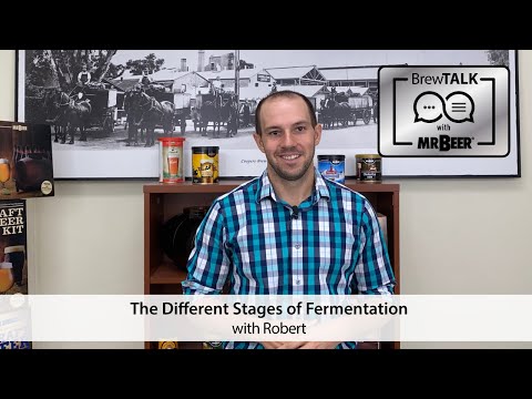 The Different Stages of Fermentation