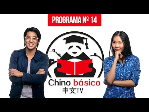 CHINO BASICO PROGRAMA Nº14