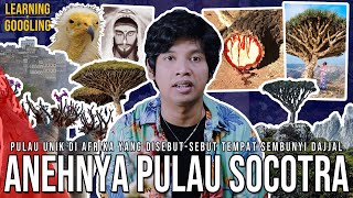 Download lagu Pulau Tempat Dajjal Sembunyi Yang Jadi Rebutan Negara Arab! Uniknya Alam Socotra |LearningByGoogling mp3