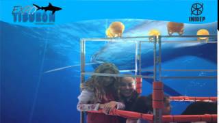 DIA 2 Expo Tiburon67