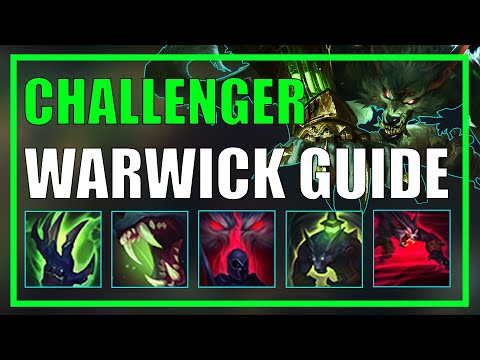 Alpha Wolf | An ACTUALLY In-depth Warwick Guide