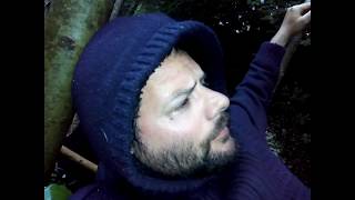 36 Stunden essbare Wildkräuterwanderung gestartet im Südschwarzwald