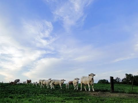 Weerbericht zondag: Vrij zonnig en zomers, later kans op onweer