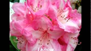 Moya Brennan, Perfect Time (with lyrics).mpg