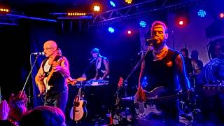 The Parlotones: Antidote (live at Club Zentral, Stuttgart)
