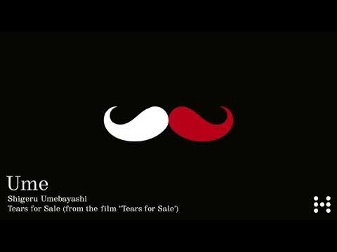 Shigeru Umebayashi - Tears For Sale (from the film "Tears For Sale"