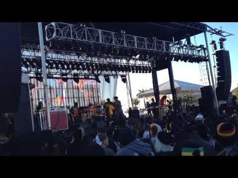 IQulah Rastafari @ 9 Mile Reggae Festival 2015