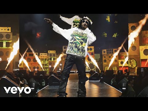 Vybz Kartel - GUAPI (Official Visualizer)