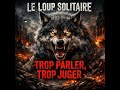 Le Loup Solitaire Trop Parler Trop Juger