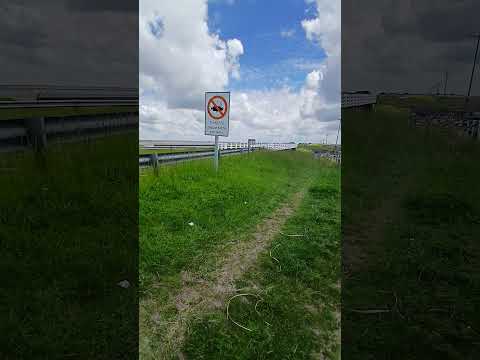 general lavalle provincia de Buenos Aires ruta 11