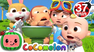 Wait Your Turn + More Nursery Rhymes &amp; Kids Songs - CoComelon