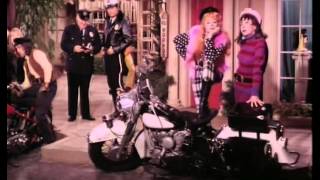 The Lucy Show VIV VISITS LUCY