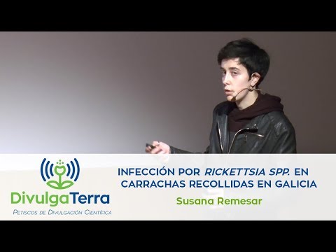 Vídeo: Infección por Rickettsia spp. en carrachas recollidas en Galicia
