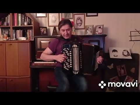 Баян Excelsior/4 голосый/обзор звучания регистров/+491788835231Whatsapp