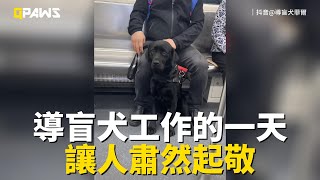 Re: [新聞] 視障者牽導盲犬搭公車 司機逼出示殘障手 