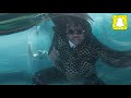 Gunna Richard Millie Plain Clean Drip Or Drown 2