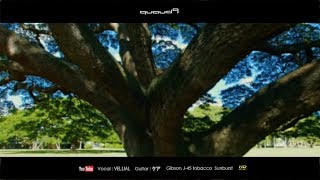 日立の木 この木なんの木 弾き語り