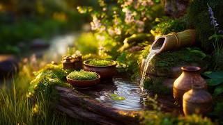 Relaxing Music with Water Sounds 🌱 Stress Relief • Relieve depression